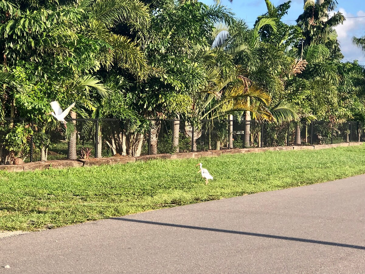 Beautiful scenery on walks