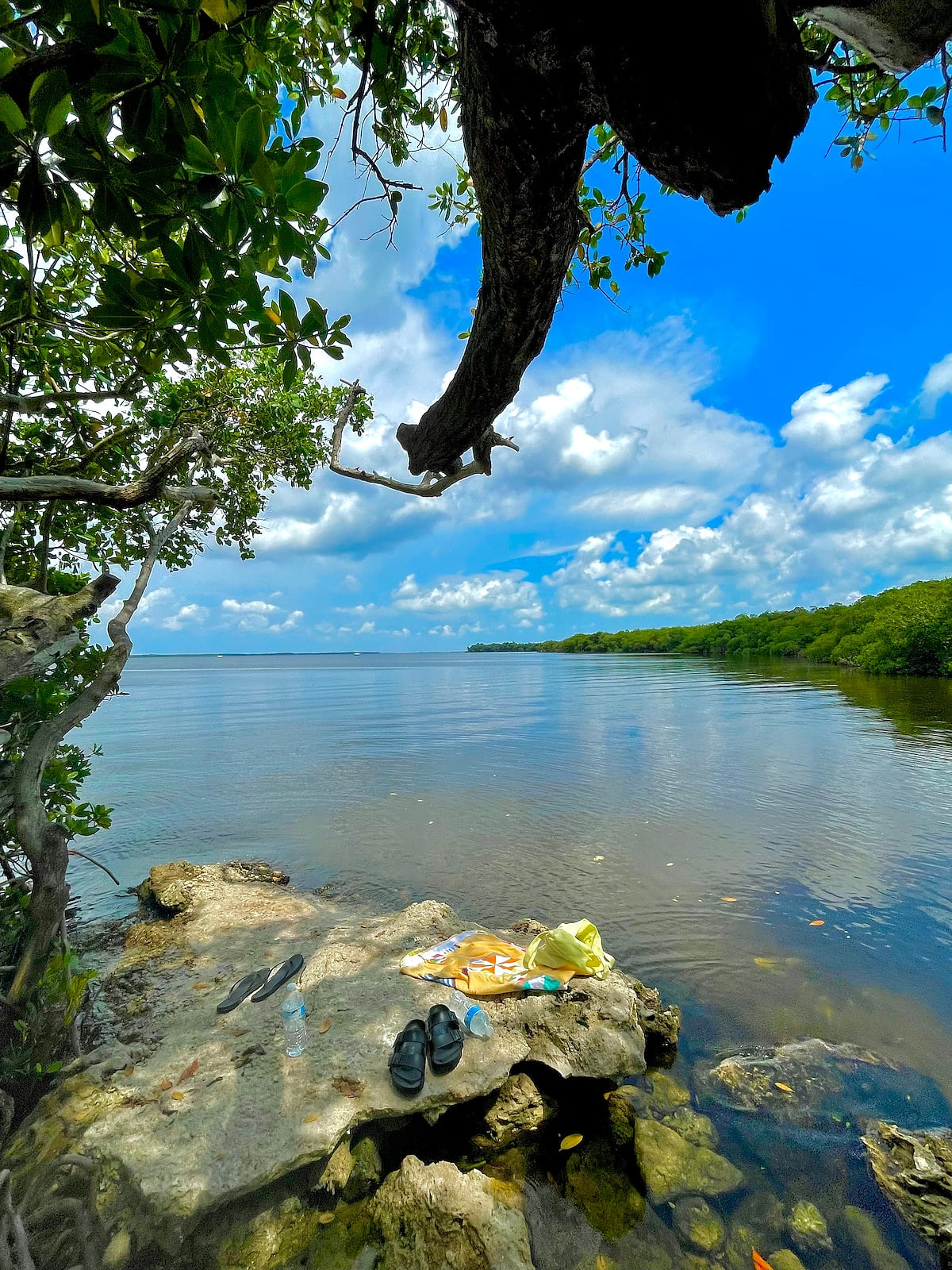 Tropical point Park Saint James City, less than 2 miles away from our house. Super cute place to go relax put your feet in the water and take in the views! Take the bikes there