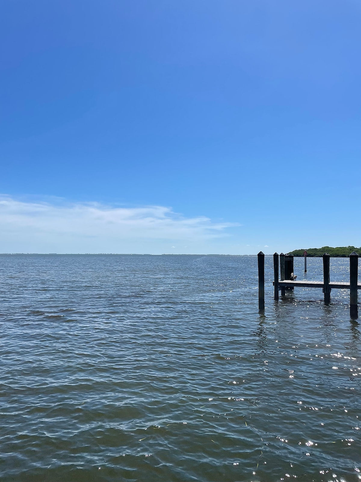Pine Island Commercial Marina.  Right down the street from the house.  Boat rentals.