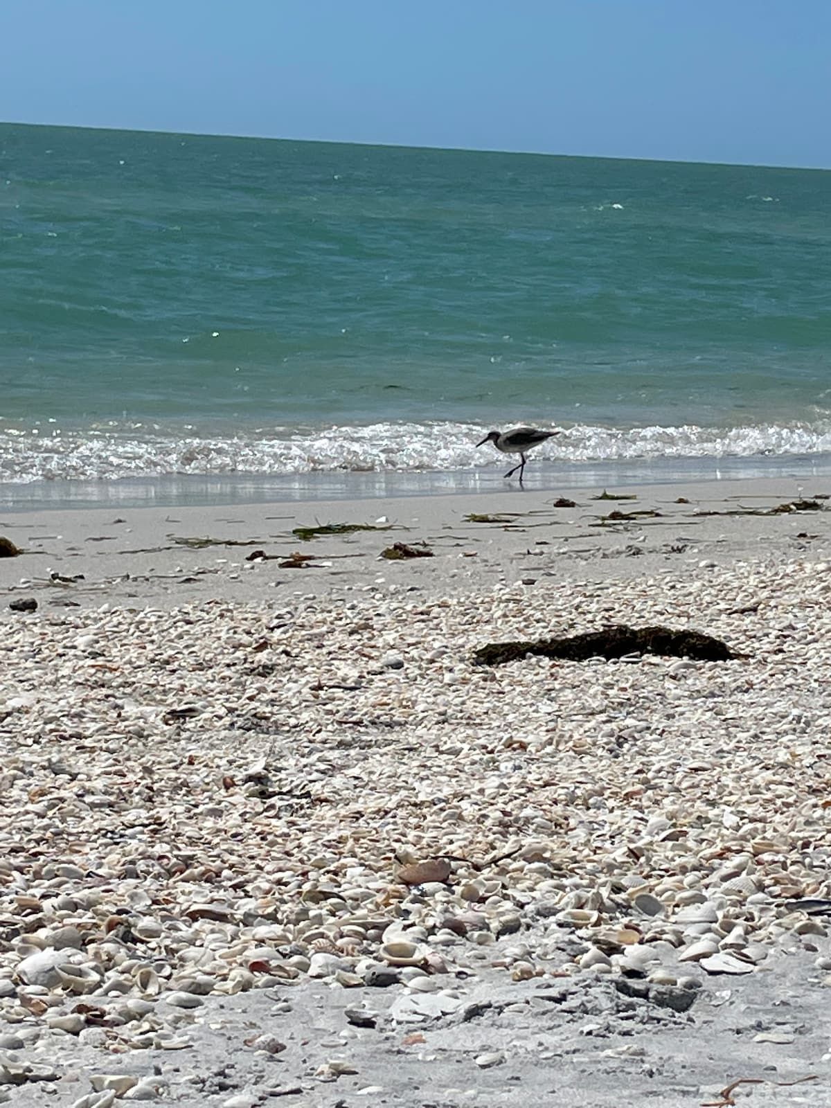 North Captiva Island is just breathtaking!! About a 20min or less boat ride from our house.  Taking into consideration our no wake zone in canal.  Not far at all!!!