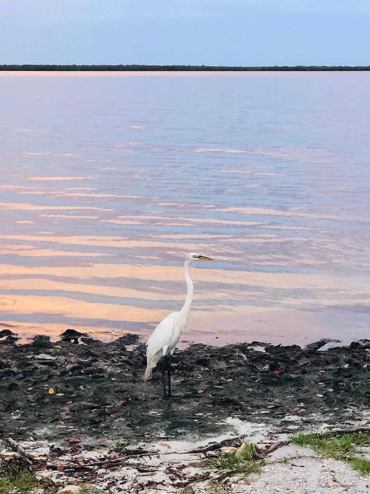 The beauty and calm of Saint James City on Pine Island!