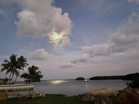 ISLAND TIME! DOCK️POOL‍️KAYAKSBoat to Beach Pets