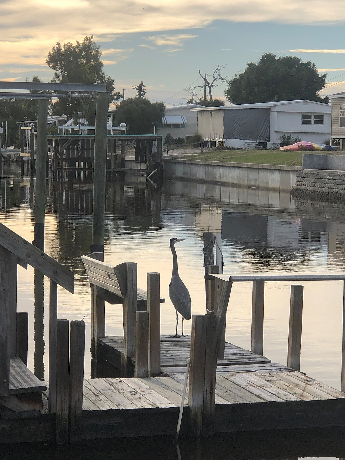 🌴ISLAND TIME! DOCK⚓️POOL🏊🏻‍♀️KAYAKS🛶Boat to Beach🏖 Pets image 153