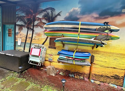 RV in a Rainforest Tree! Fun, Colorful, Magical!