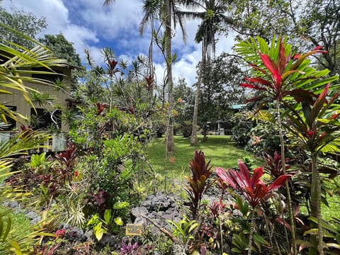 Joined in the Jungle! Perfect large party spot!