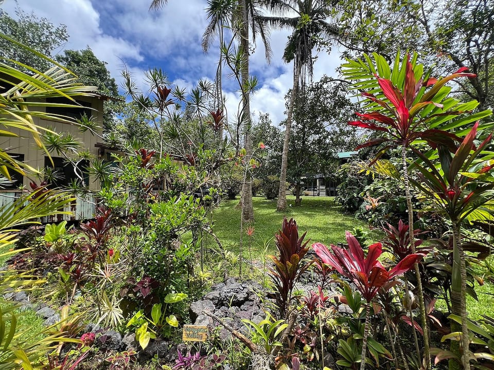 Welcome to the Jungle! Perfect large party spot! - Nanawale Estates