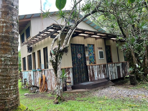 Rare Rainforest Hideaway -A true Jungle experience