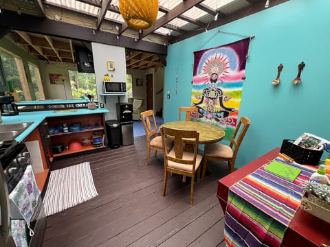 Rare Rainforest Hideaway -A true Jungle experience