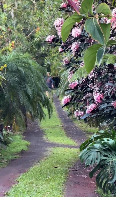 Tropical Getaway! Magical Experience! Come Stay!