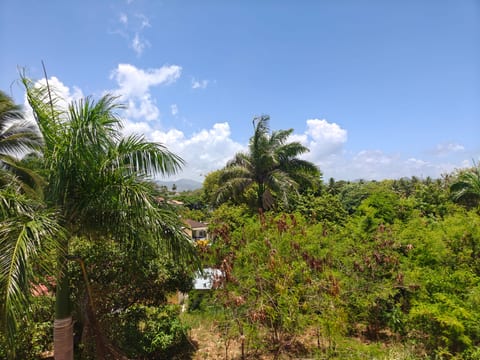 COSTAMBAR PUERTO PLATA