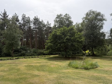 Place