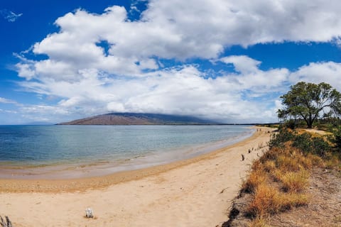 Kihei Beaches Just Steps Away