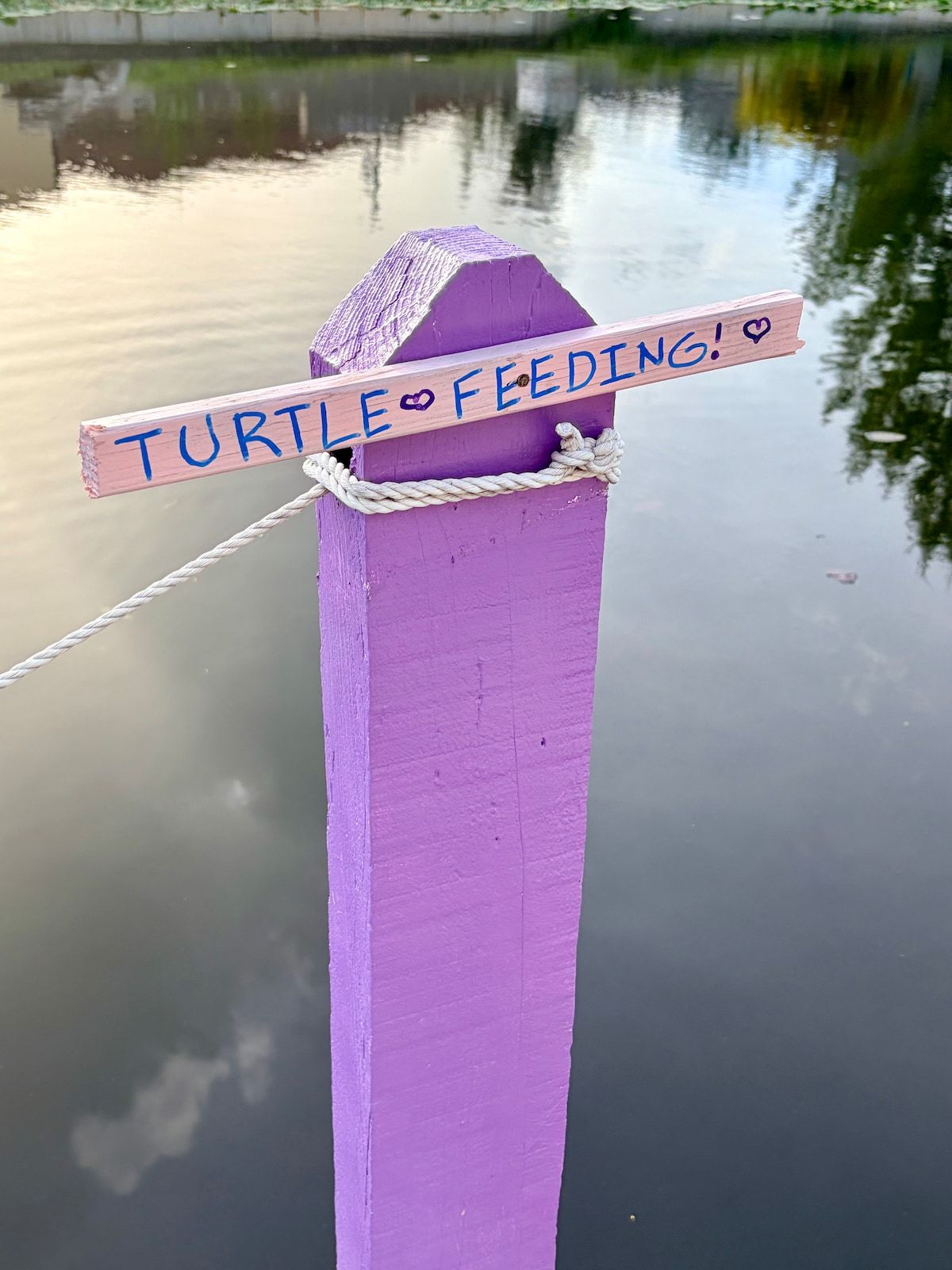 Turtle Calm - Feed Our Turtles! Hot Tub & Beach image 11
