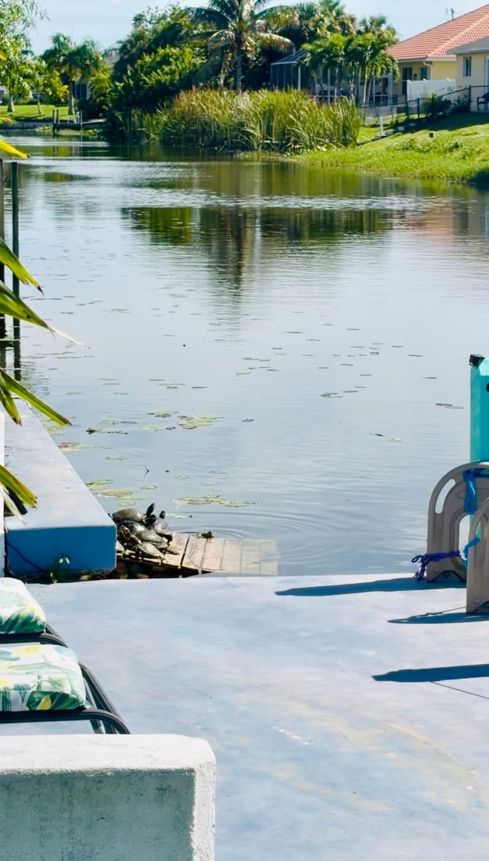 Turtle Calm - Feed Our Turtles! Hot Tub & Beach image 1
