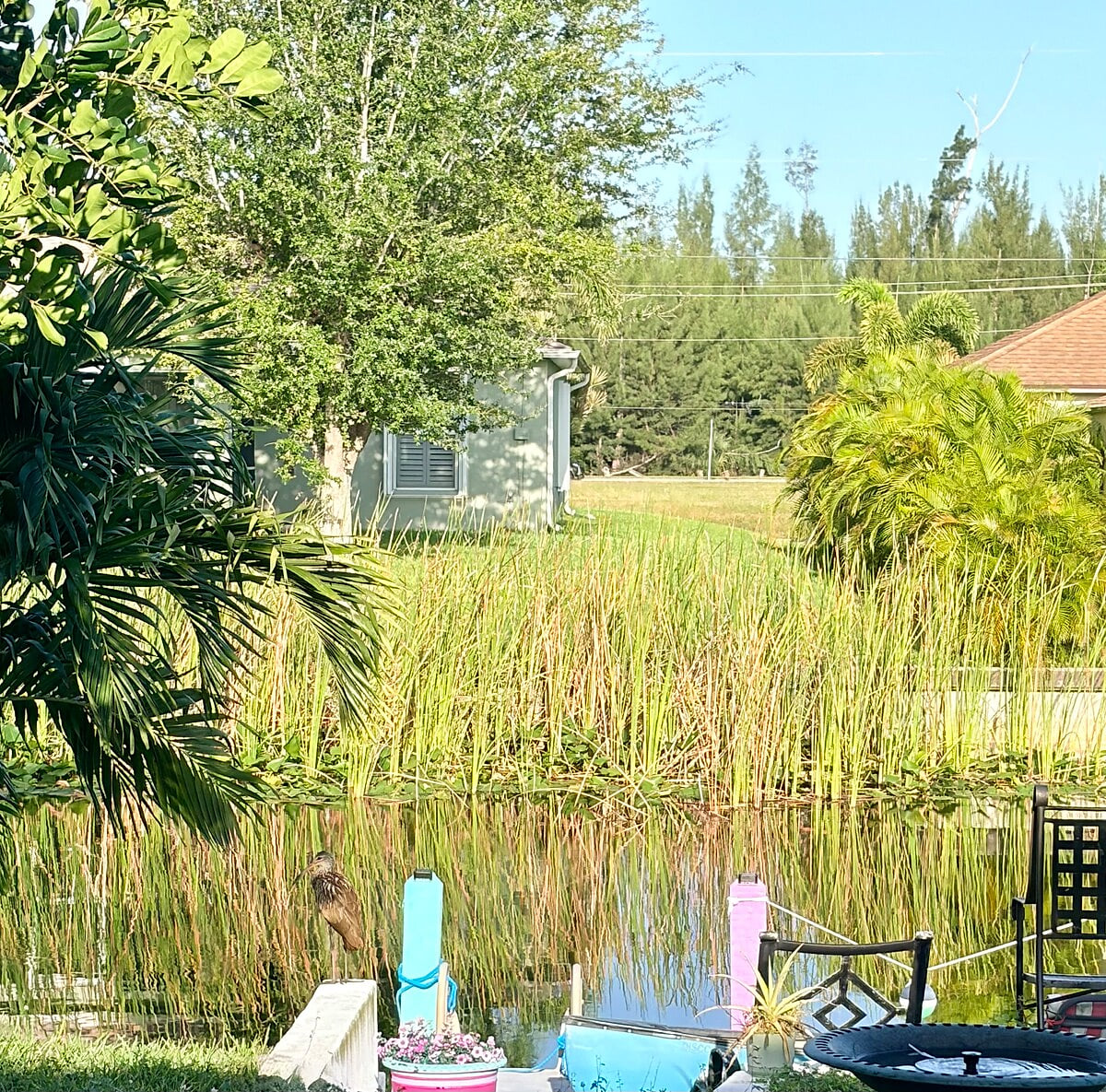 Turtle Calm - Feed Our Turtles! Hot Tub & Beach image 95