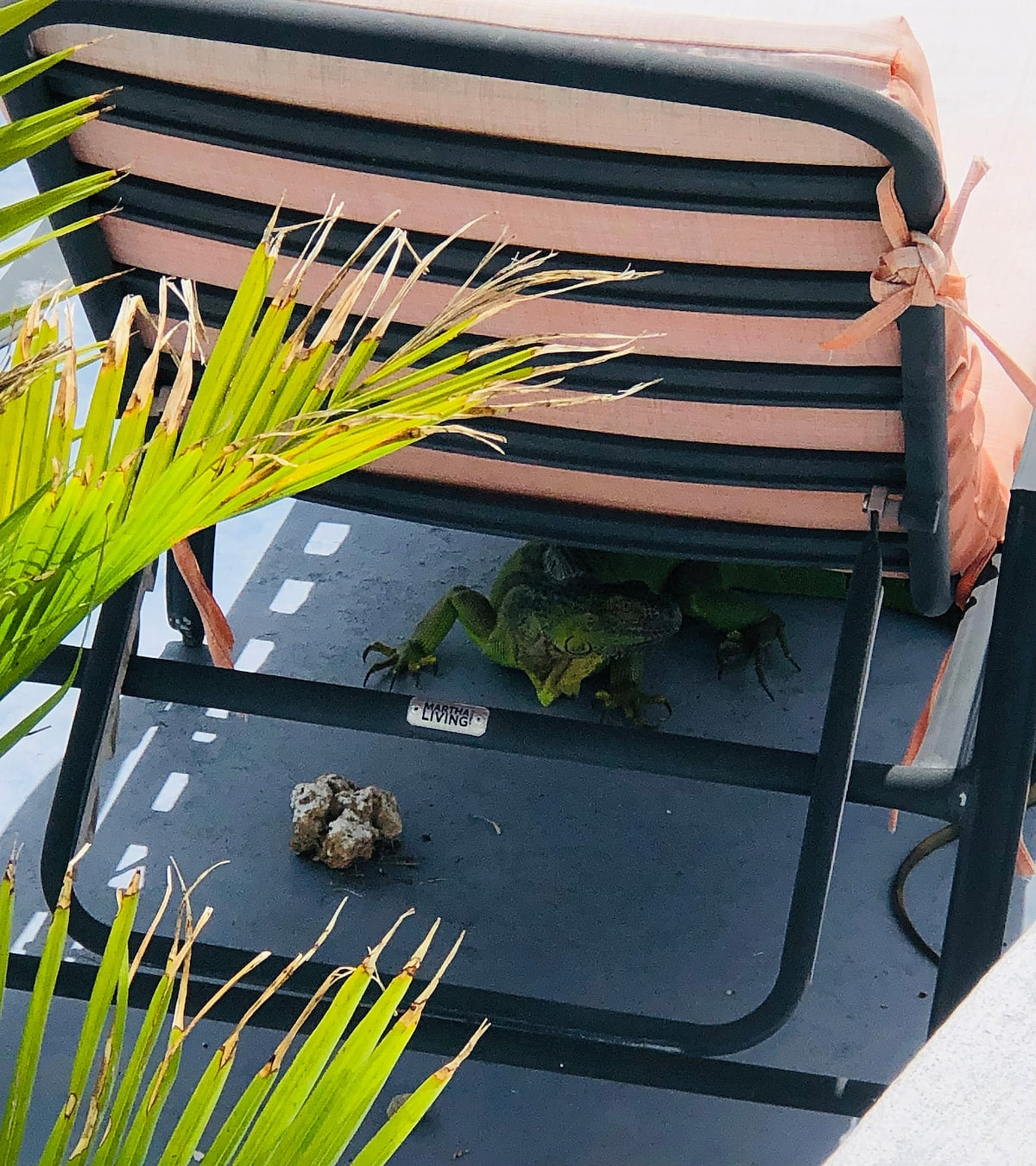 Who do we have here visiting?