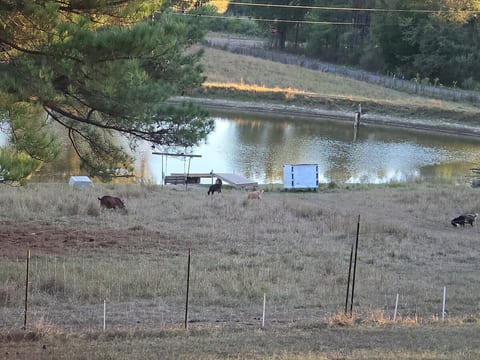 Enjoy the night away under the sunset stars, moon light, with a scenic view of the animals, pond, valley, and treelines