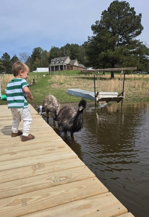Pet emus, goats, use boat, fish, but sign waiver before