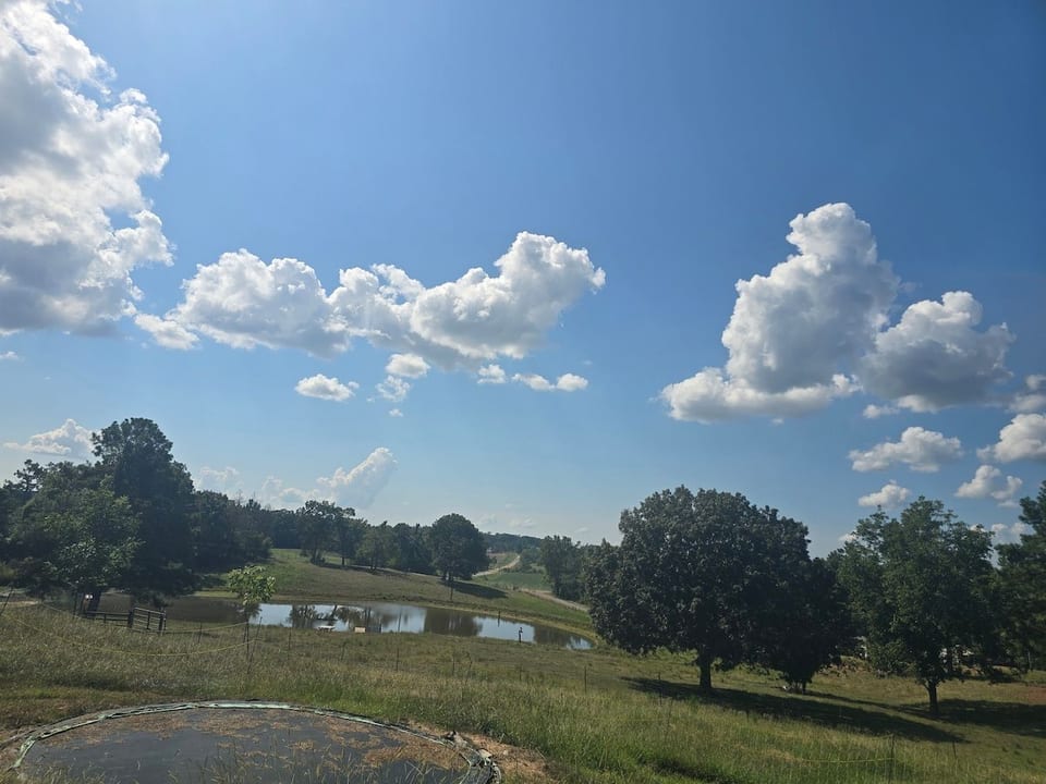 campground, fishing pond/fire animals image 1