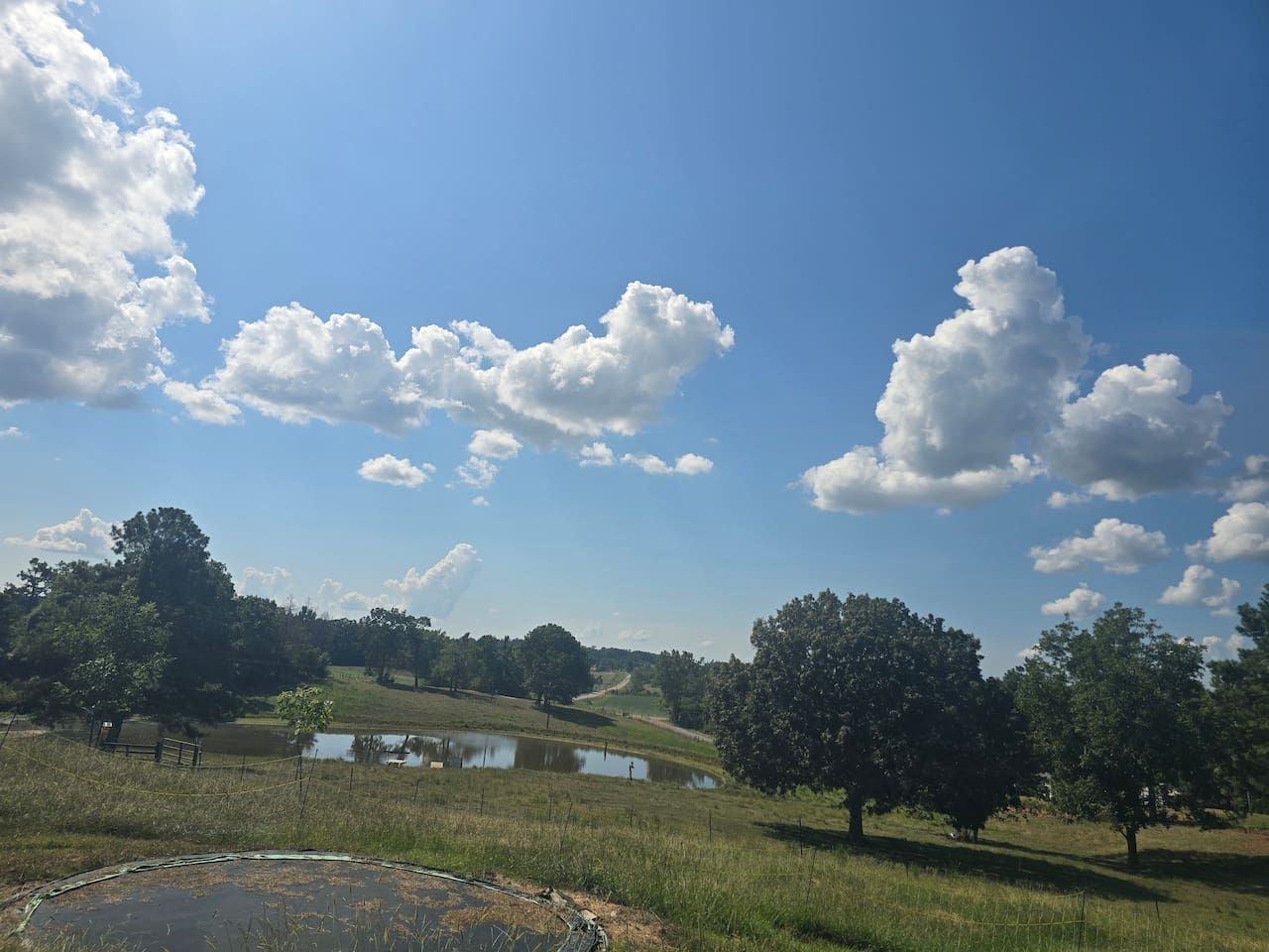campground, fishing pond/fire animals , byo tent or use ours, we have shower