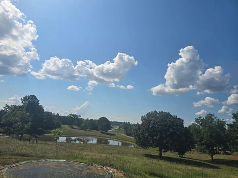campground, fishing pond/fire animals , byo tent or use ours, we have shower
