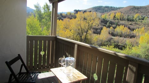 Views of the Beaver Creek Mountains and Eagle River from your private balcony.