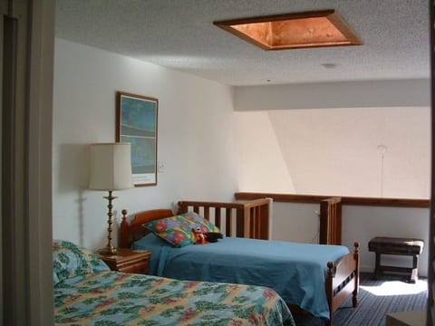 Loft Bedroom Retreat with full bath and sky light