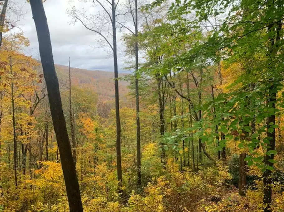 Fall view from deck Fall view from deck - Trout House Mountain Retreat - Spacious 3BR 2BA - Glenville