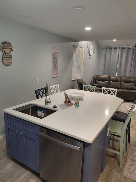 Large stainless sink with disposal