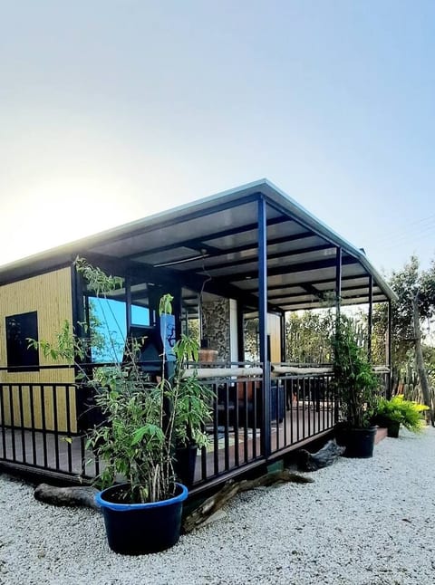 Kasita di Bientu