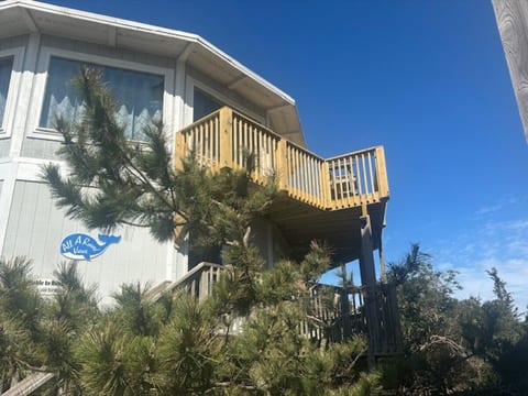Oceanfront All A Round Views - Pet Friendly! image 4