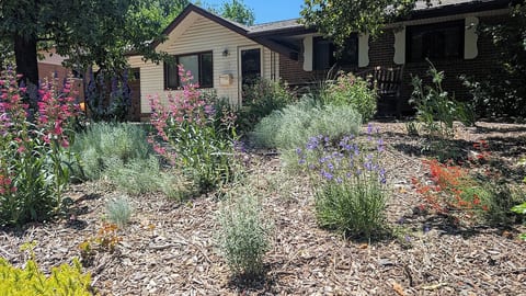 Front yard