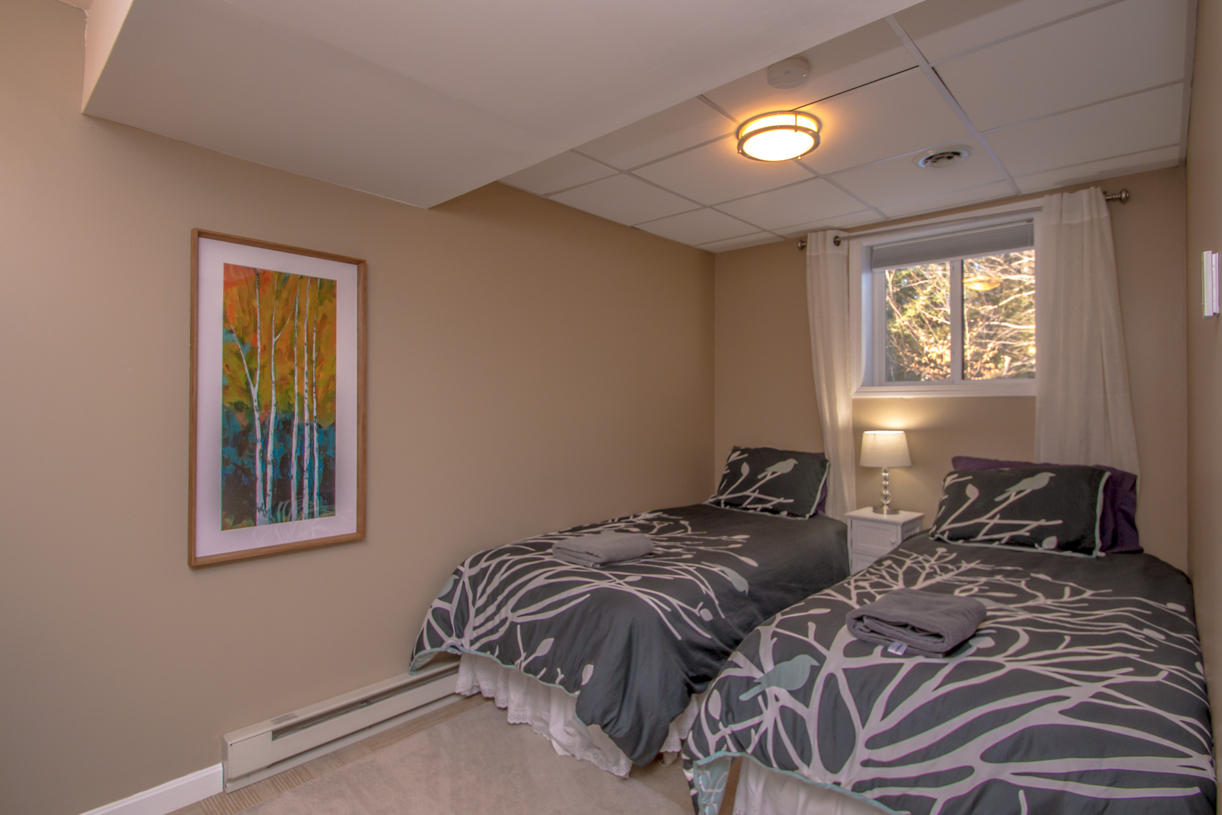 Lower Level Bedroom 2
