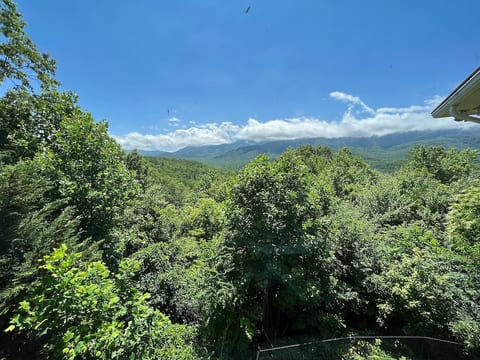 Panoramic Vista- Gatlinburg Hot Tub/ Pool Access
