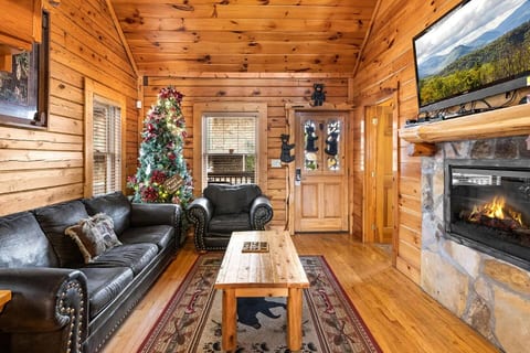 Mama Bear Paw w/ private hot tub, two pools