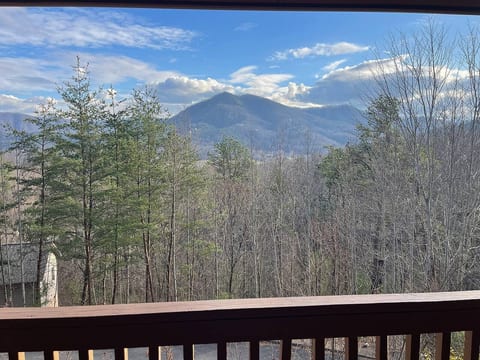 Blushing Bear Cabin Stunning Views