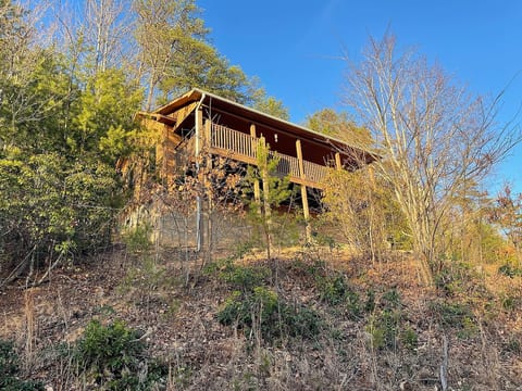 Blushing Bear Cabin Stunning Views