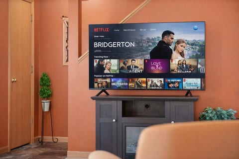 Living Room: Dive into entertainment with striking decor and a spacious TV for your viewing delight!