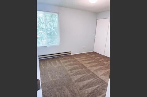 Bright bedroom with large window, plush carpet, and closet space