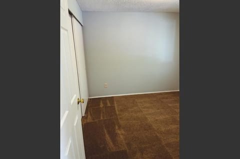 Clean, versatile bedroom with soft carpet and closet storage
