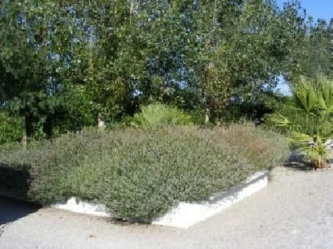 Schönes Ferienhaus Assione mit Pool