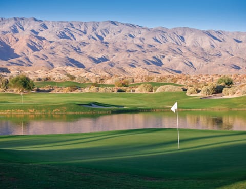 1BR Desert Oasis in Indio, CA