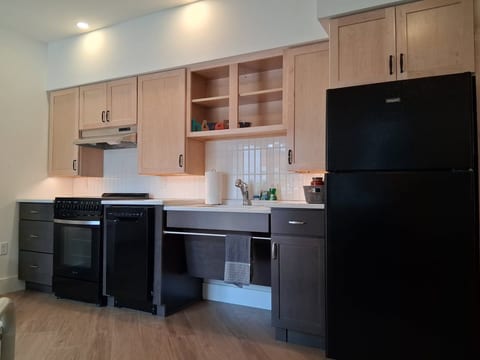 Dishwasher, stove, and refrigerator barrier-free sink and wall cabinets