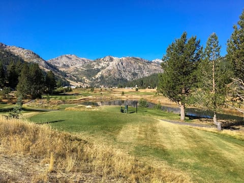 Carey's Slopeside 2 Bd 2 Bth 400 Resort RD