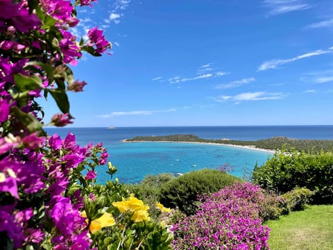 Punta Est - 3BR ANTARES Garden & Pool