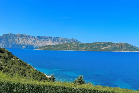 Punta Est - 2BR ROSMARINO Garden & Pool