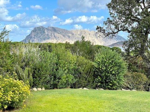 CAPO CODA CAVALLO VILLA SALINEDDA GIARDINO VISTA MARE