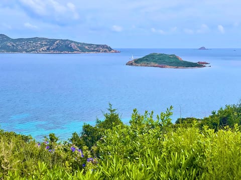 Punta Est - 3BR ORIONE Full Sea-Facing View