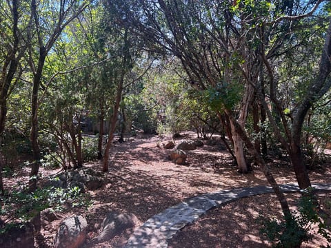 Villa Oasi Di Cala Ginepro