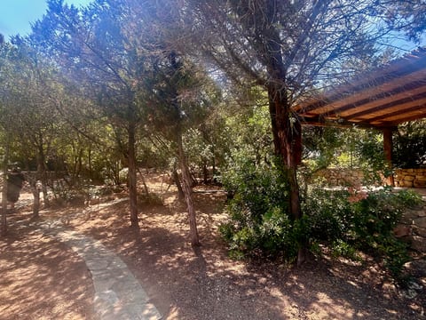 Villa Oasi Di Cala Ginepro
